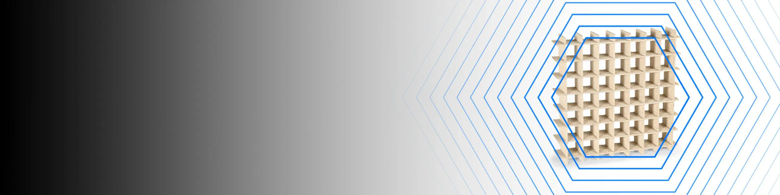 A beige 3D grid structure surrounded by blue hexagonal lines on a gradient black-to-white background.