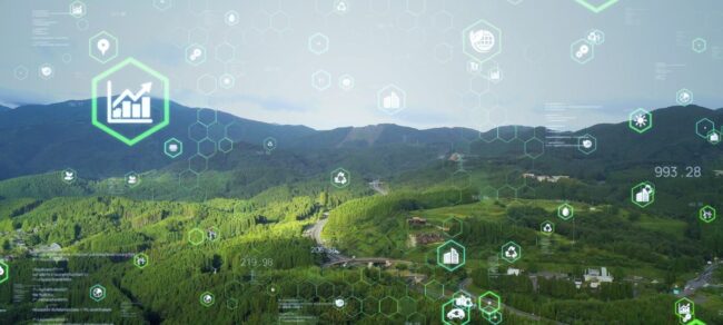 environmental declaration