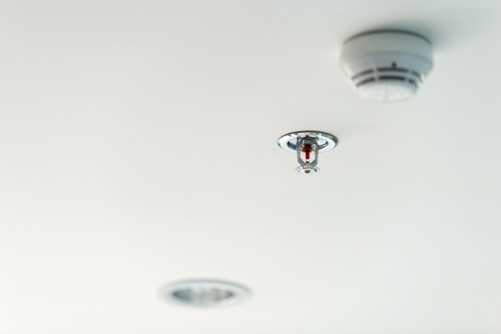 Ceiling showing a fire sprinkler, smoke detector, and light fitting.